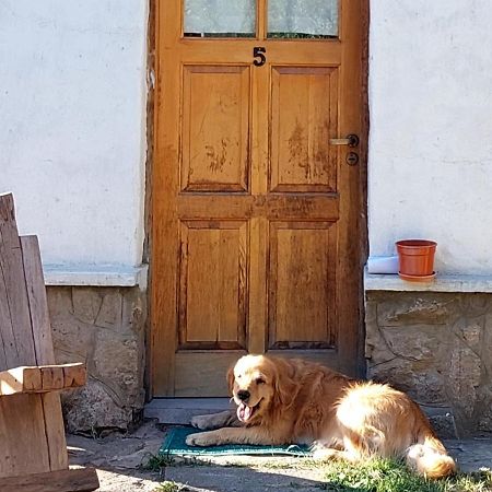 Buena Onda I Villa San Martín de los Andes Eksteriør bilde